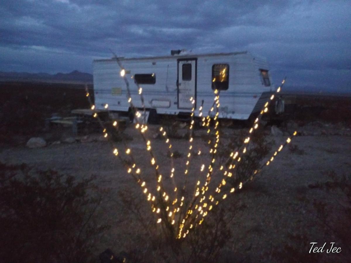 Camping At Desert Gardens Oasis At Lobo, Texas Van Horn Exterior photo