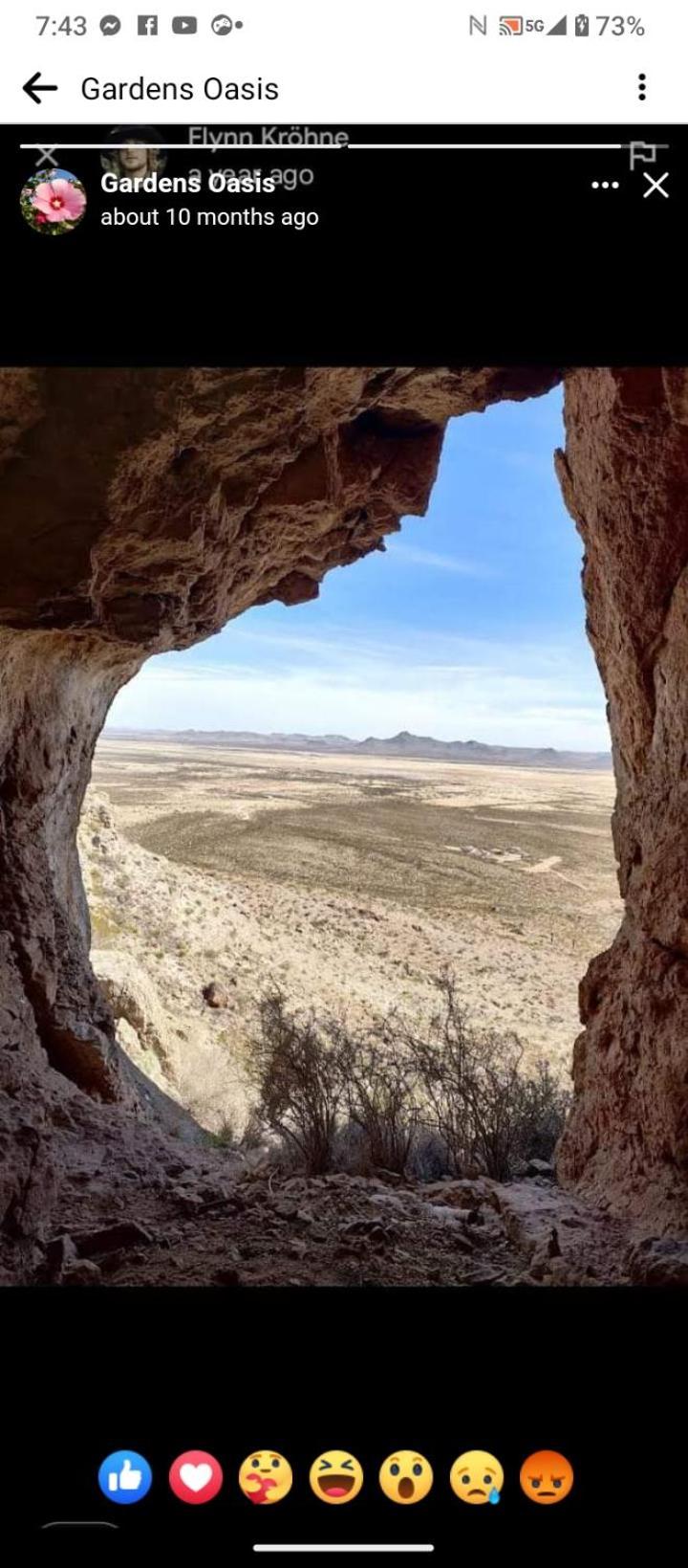Camping At Desert Gardens Oasis At Lobo, Texas Van Horn Exterior photo
